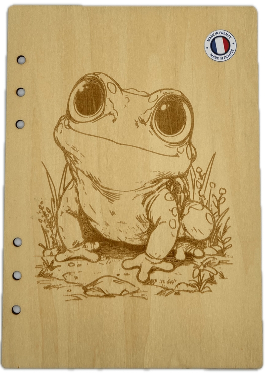 058 Couverture cahier grenouille