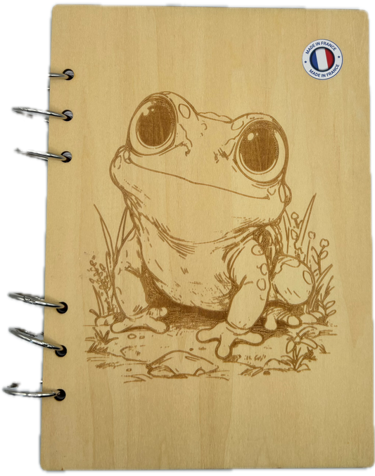 058 - Cahier Grenouille